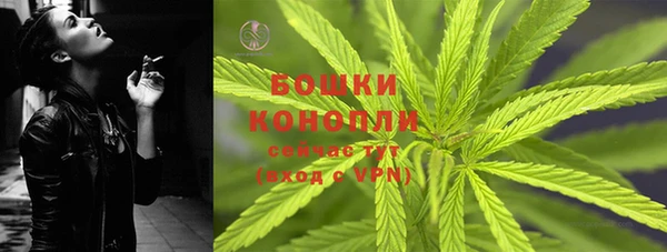 твердый Медногорск