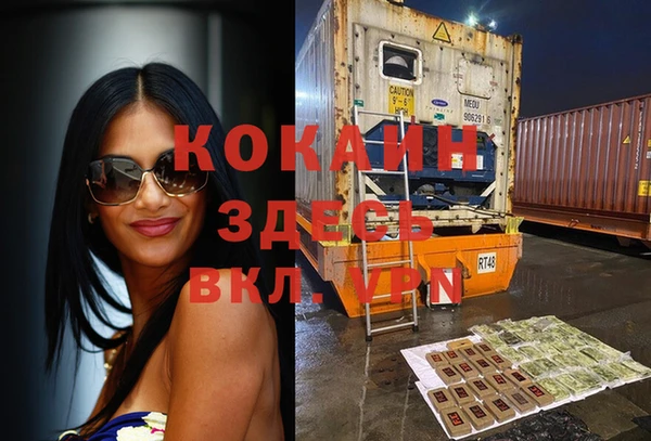 гидра Бутурлиновка