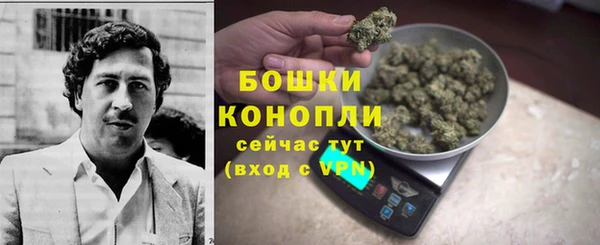 индика Весьегонск