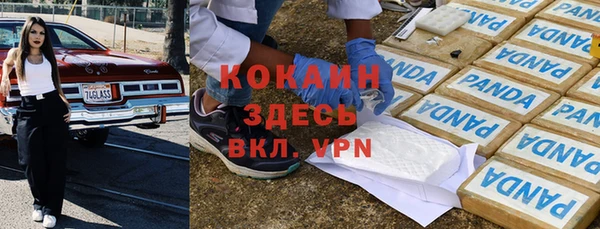 дурь Михайловск