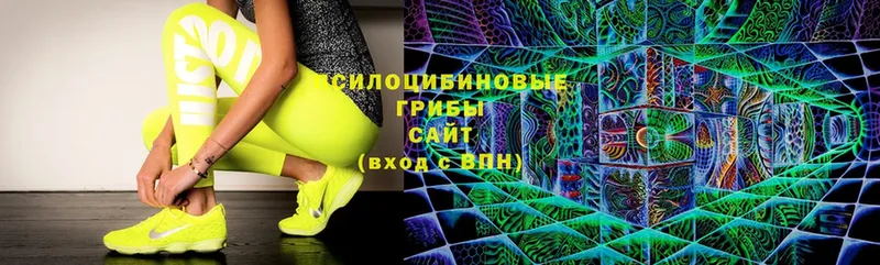 MEGA tor  Струнино  Галлюциногенные грибы Psilocybine cubensis 