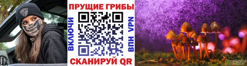 гидра tor  Струнино  Галлюциногенные грибы Psilocybine cubensis 